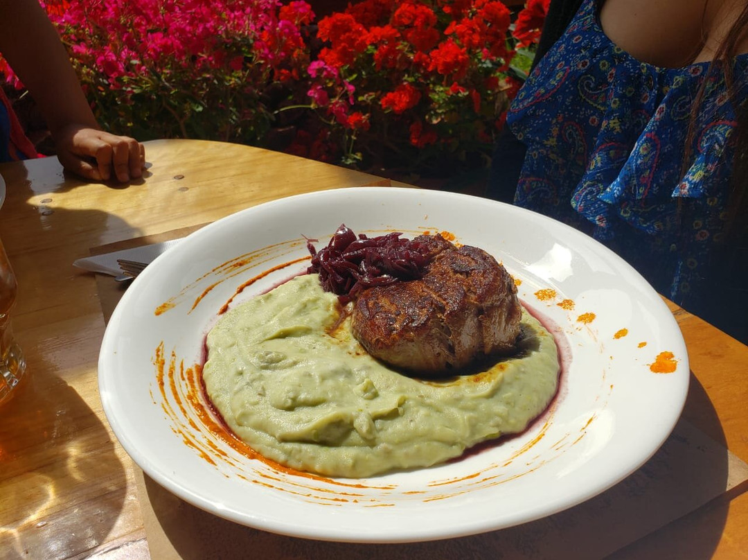 Termas Vergara-Conaripe必去景点