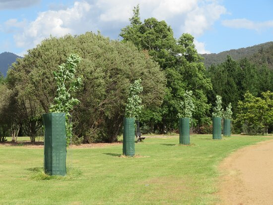 Bright Memorial Arboretum-布赖特必去景点