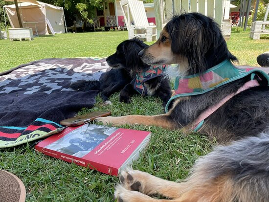 Hotel La Calma de Rita主图