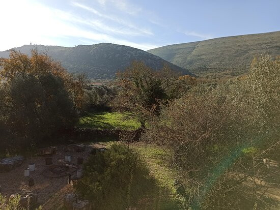 Cooking and Nature - Emotional Hotel主图