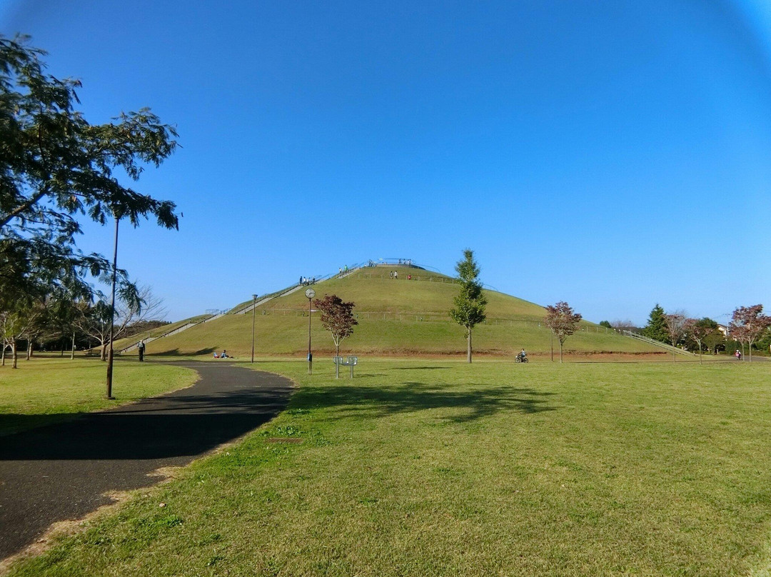 Makinohara Park景点图片