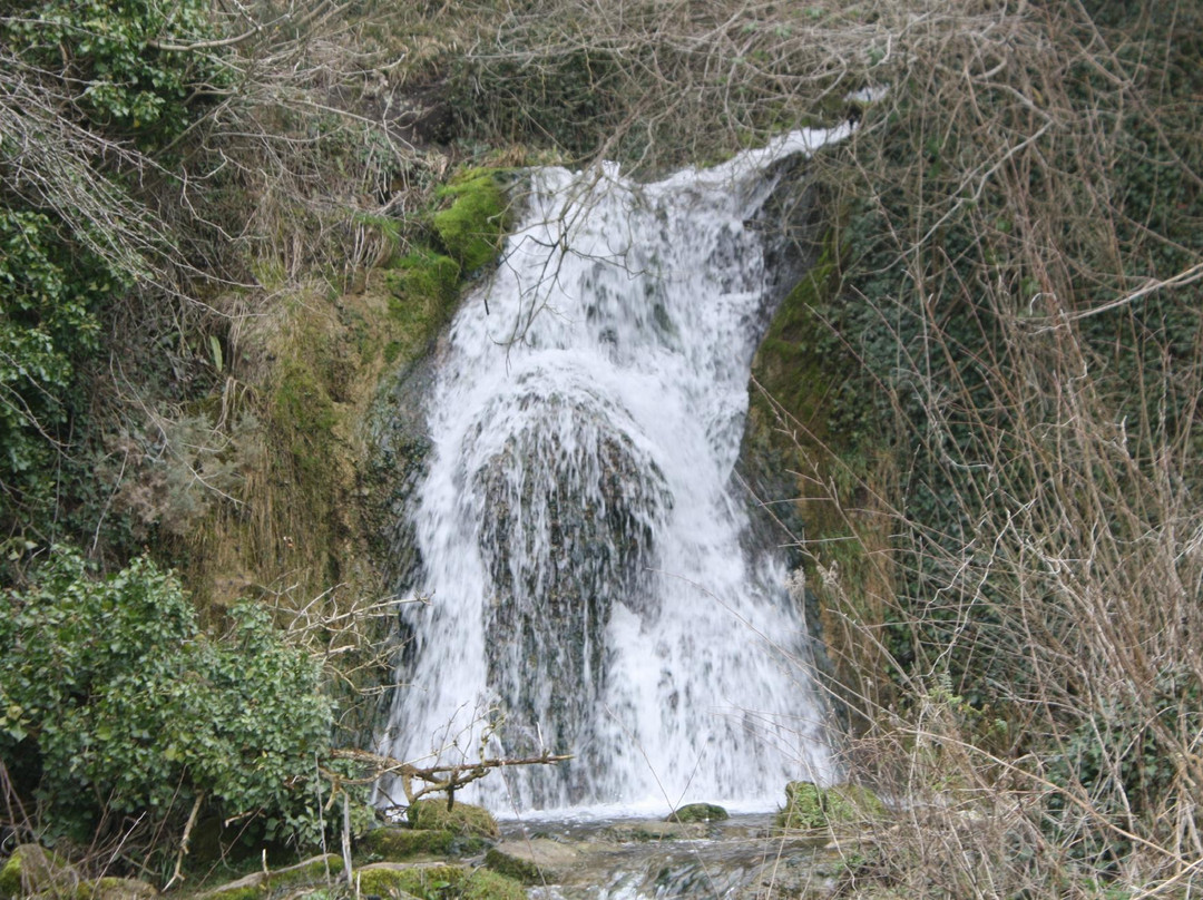 null-Leixlip