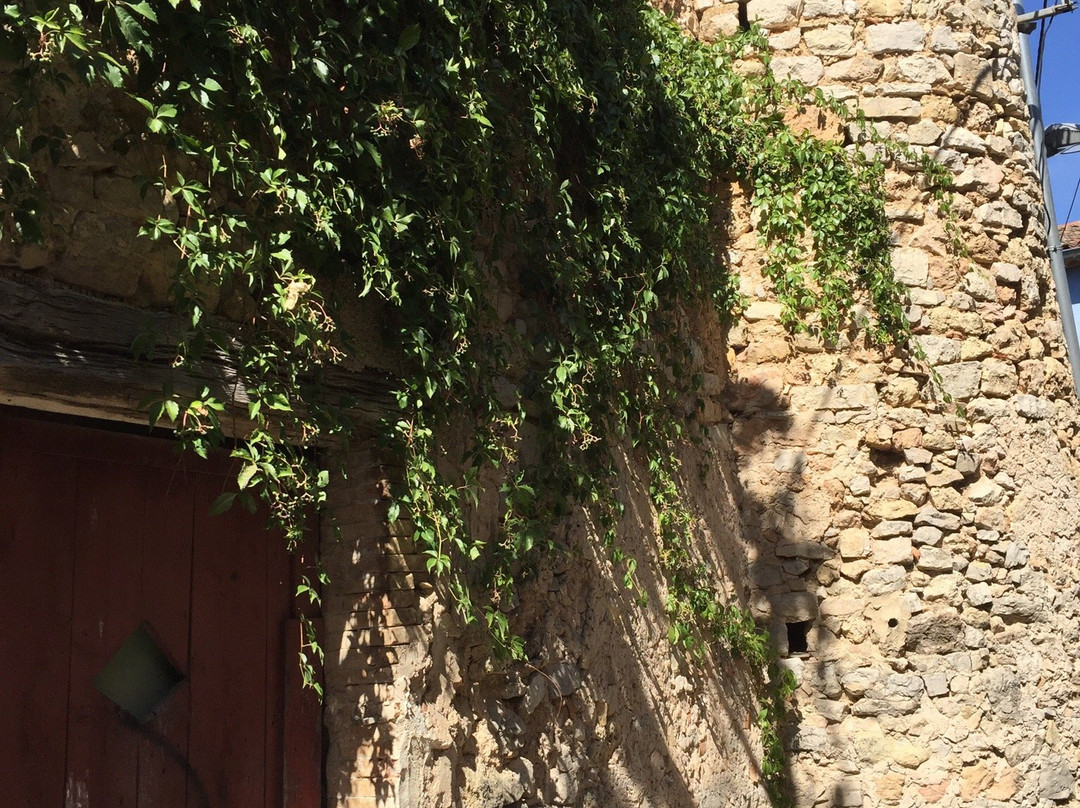 Besse sur Issole