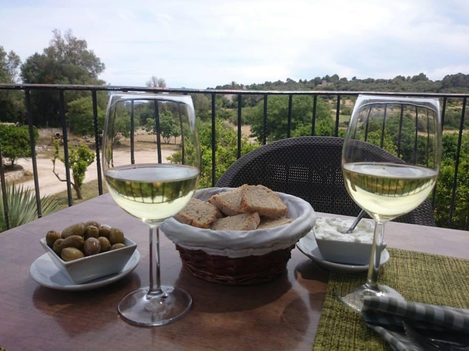 Hortella d'en Cotanet主图