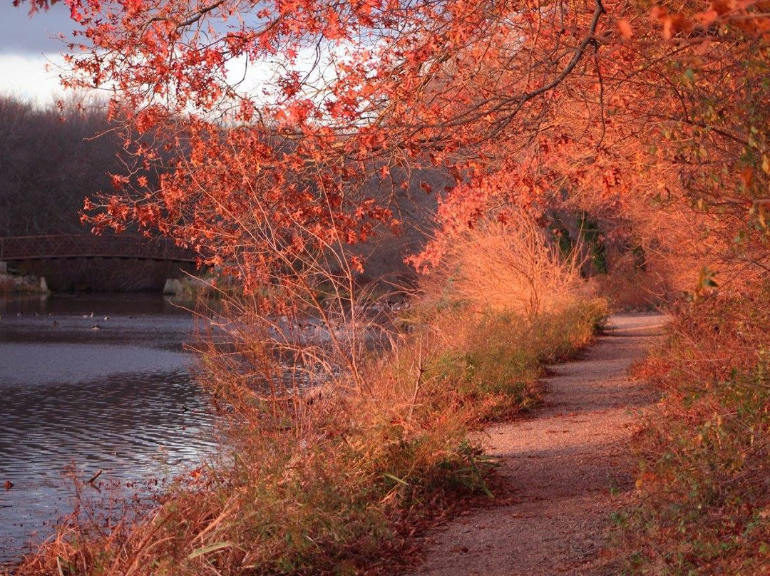 Massapequa旅游攻略图片