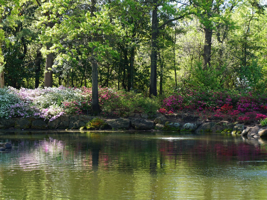 马斯科吉旅游攻略图片