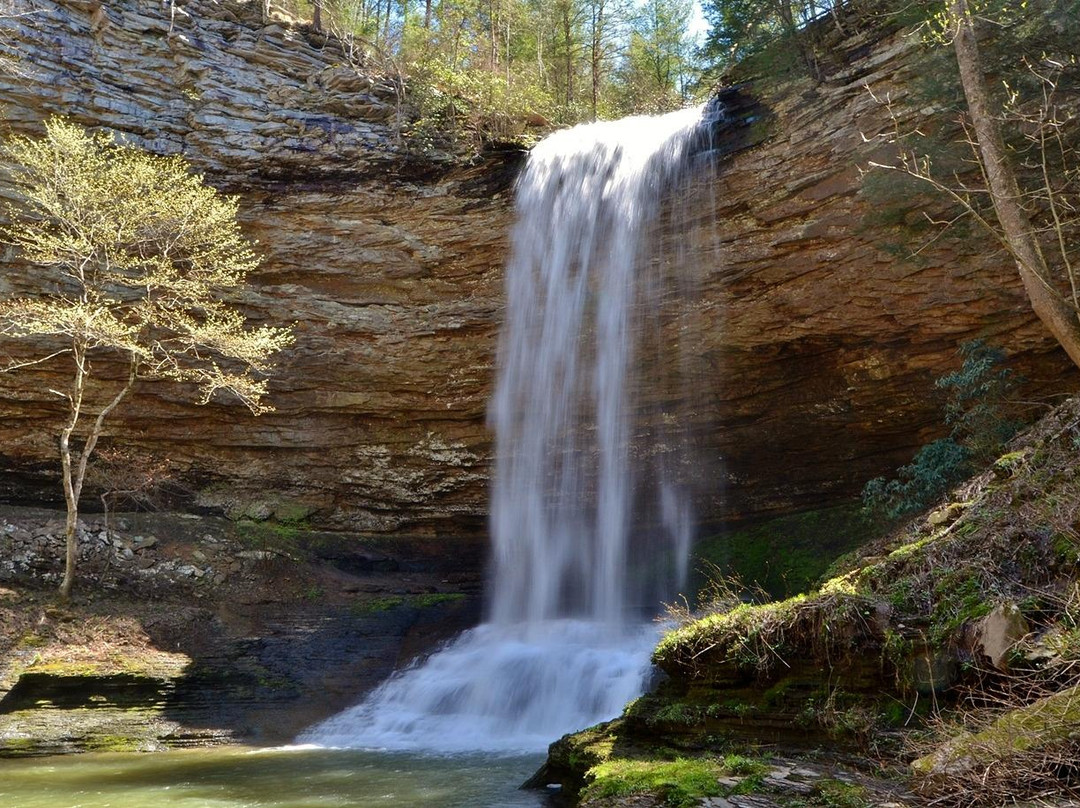 Piney Creek Falls景点图片