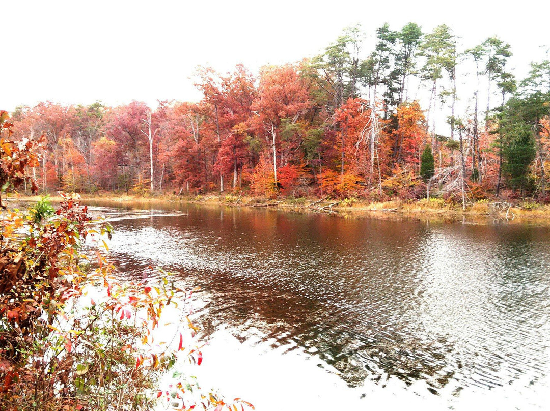 Deam Lake State Recreation Area景点图片