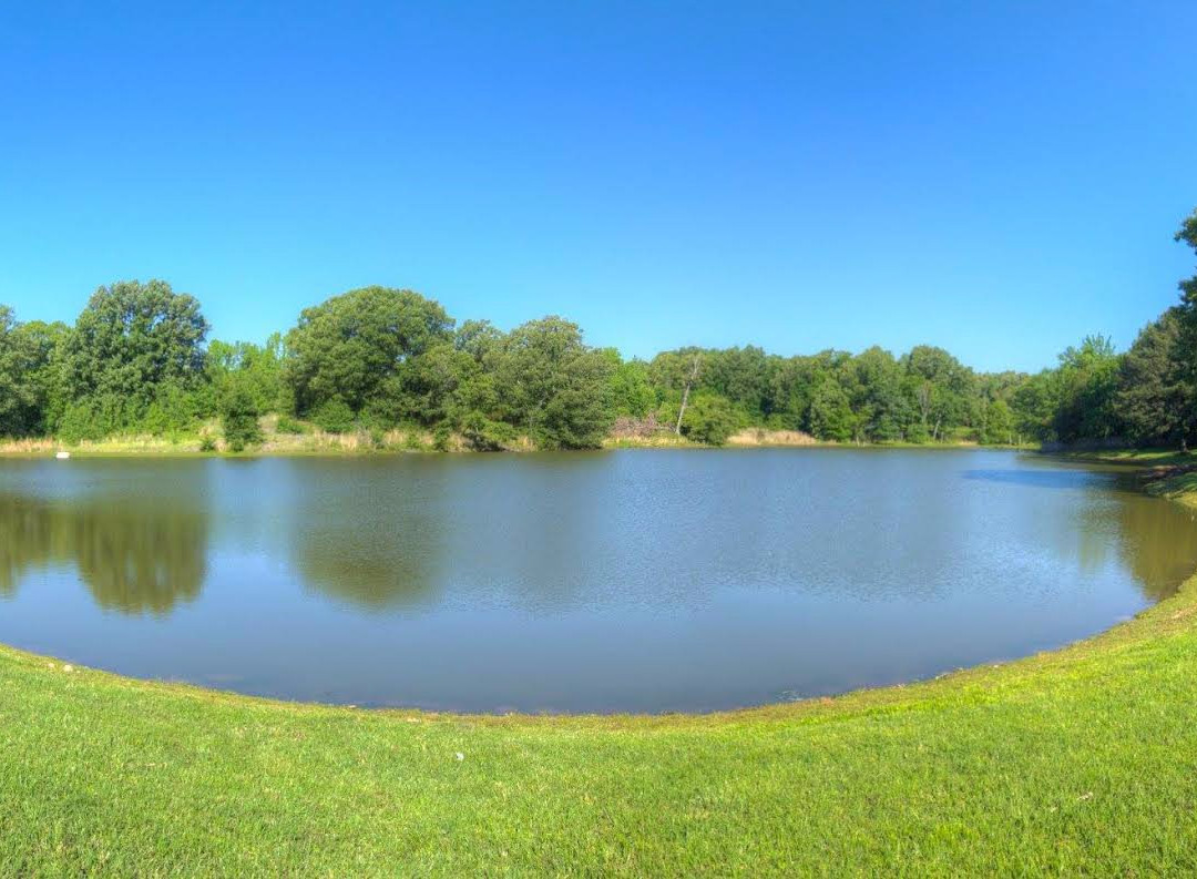 Nesbit旅游攻略图片