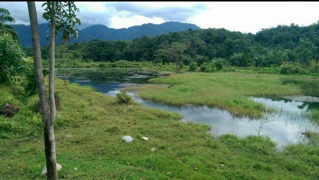 SUMECO (Sumatra Ecoproject)-武吉拉旺必去景点