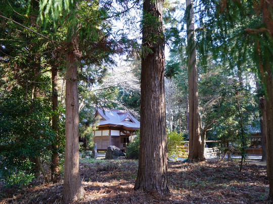 利根町旅游攻略图片