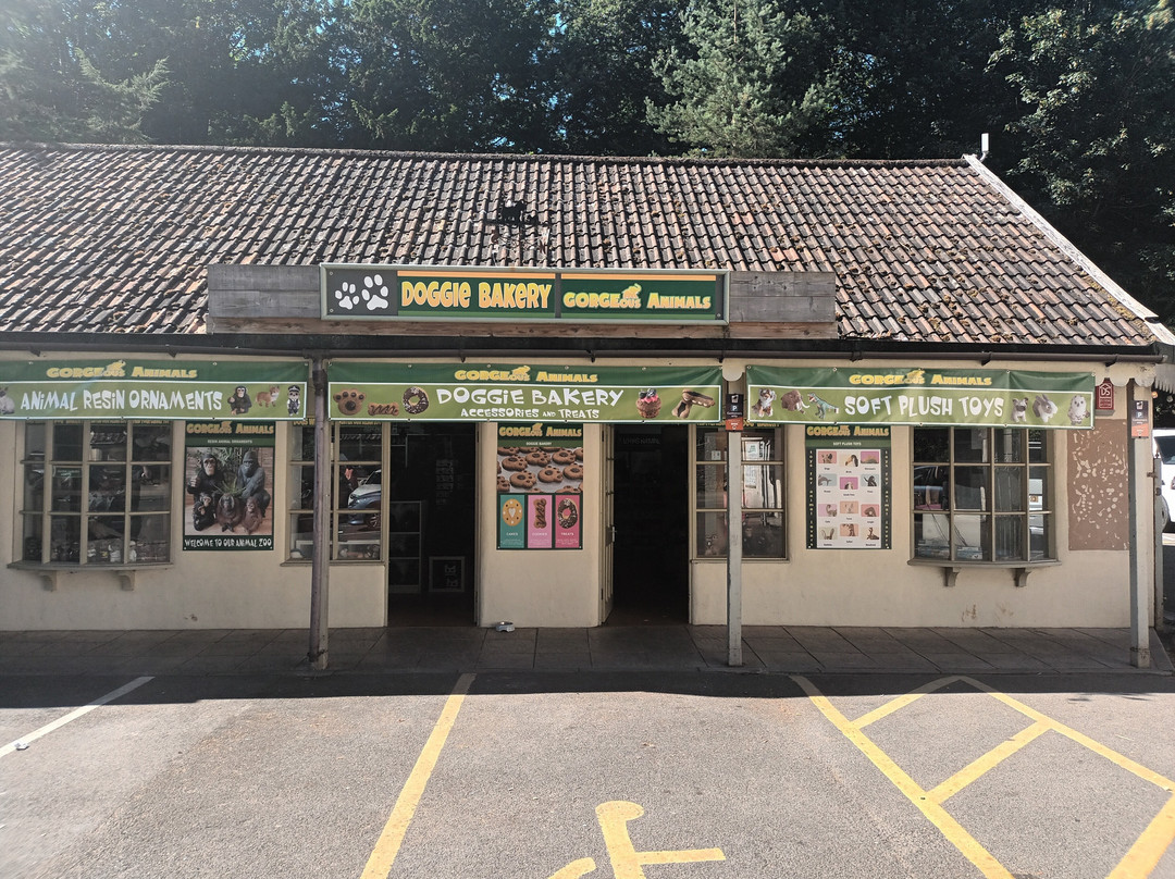 Cheddar Gorgeous Animals Dog Bakery-Cheddar必去景点