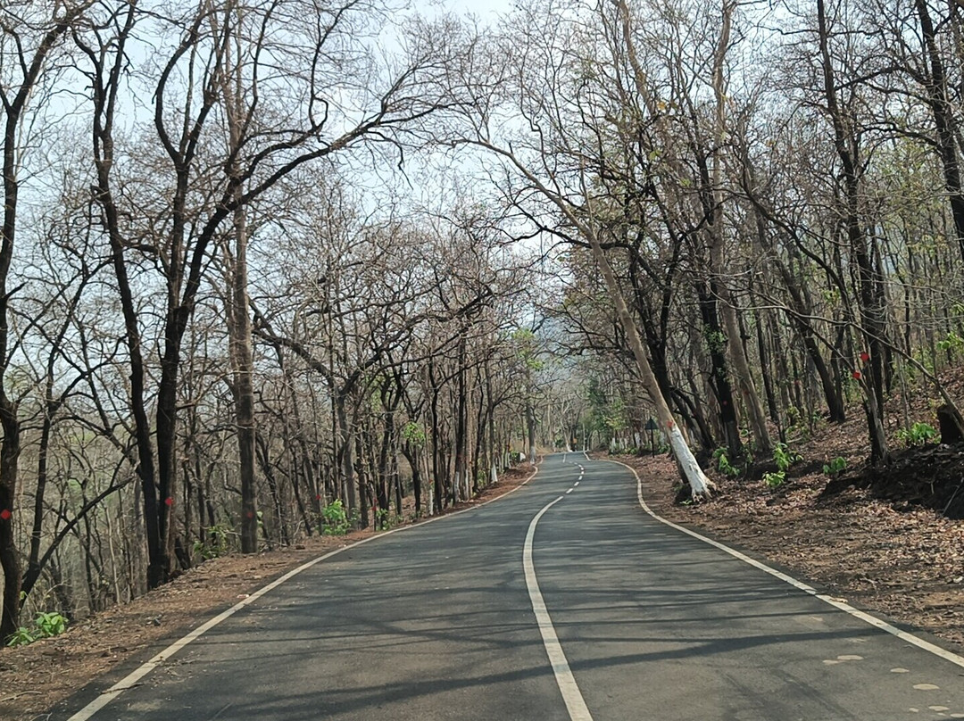 Karlapat Wildlife Sanctuary景点图片