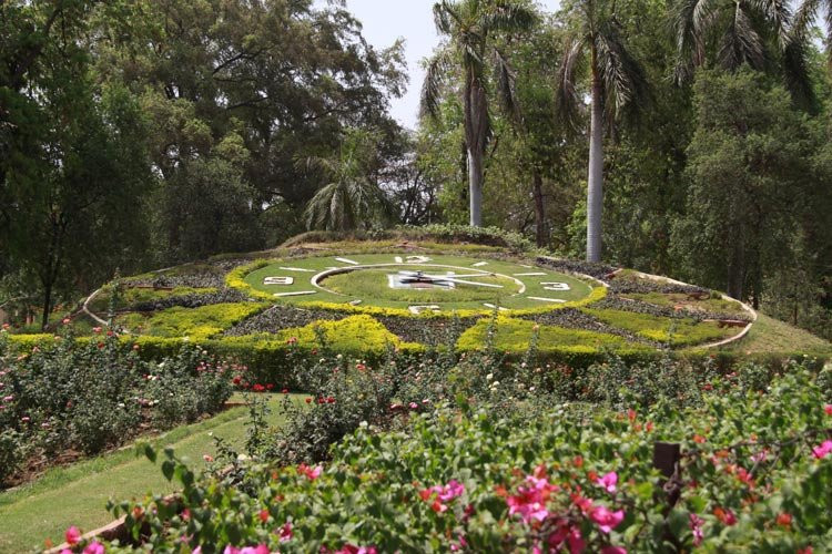 Sayaji Baug Zoo景点图片