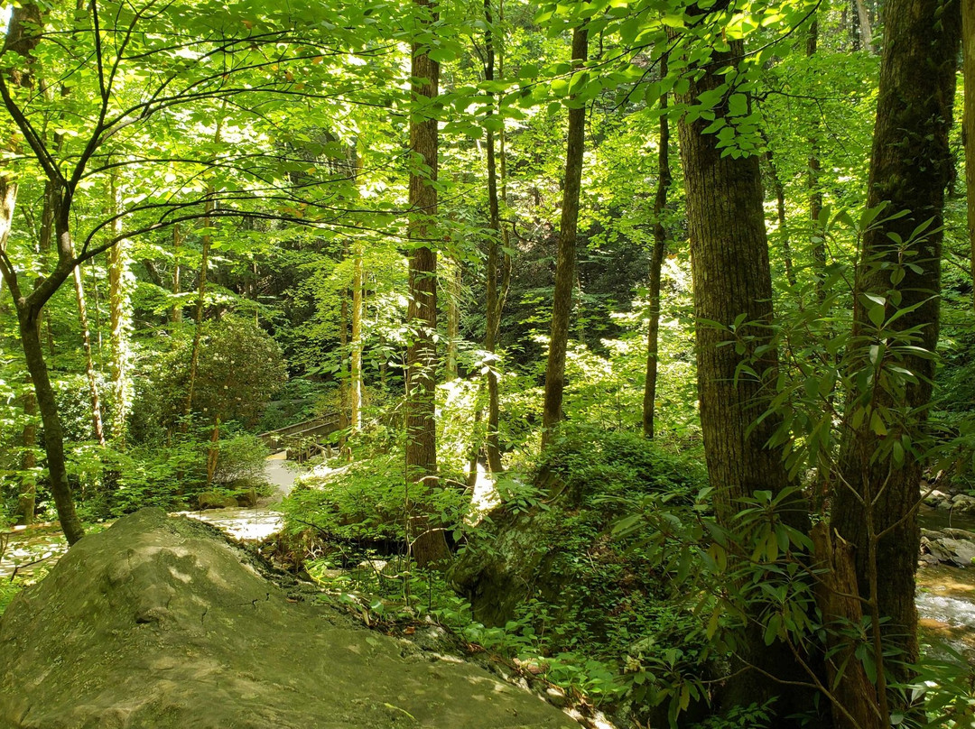 Unicoi State Park景点图片