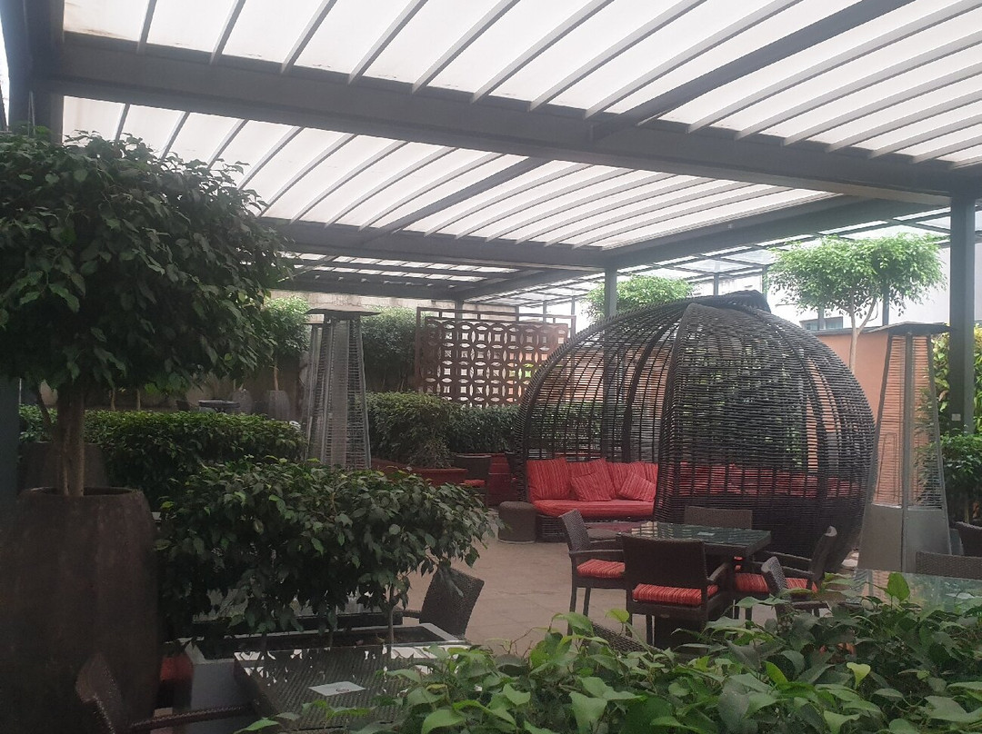 Signature Bar and Terrace