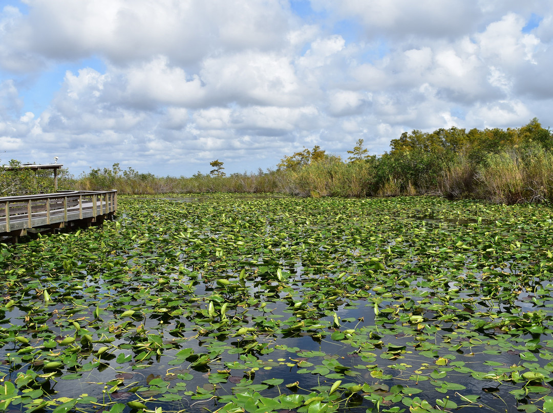 Everglades National Park景点图片