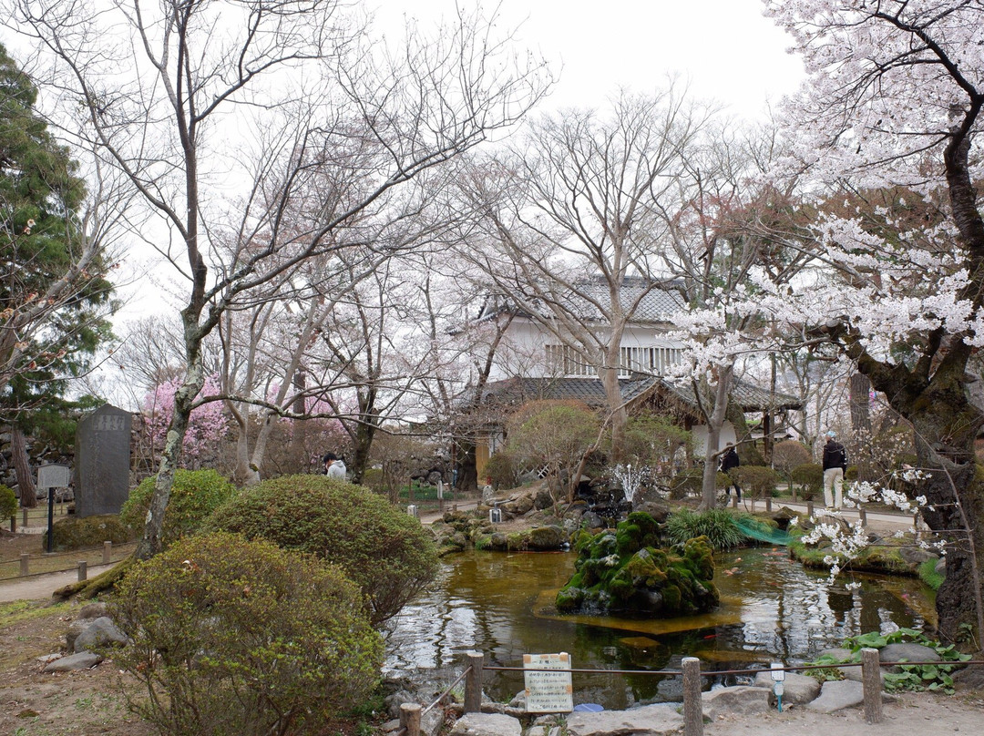 Kaikoen Inari Shrine景点图片