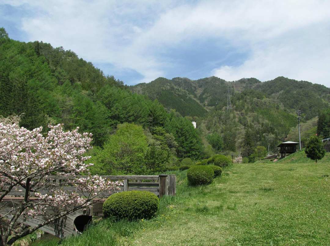 Nakazawa Ikoinosato Park景点图片