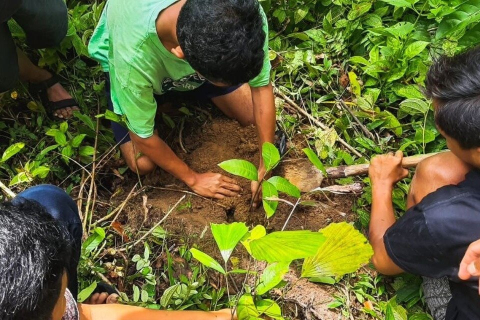 Sumatra Jungle Trekking