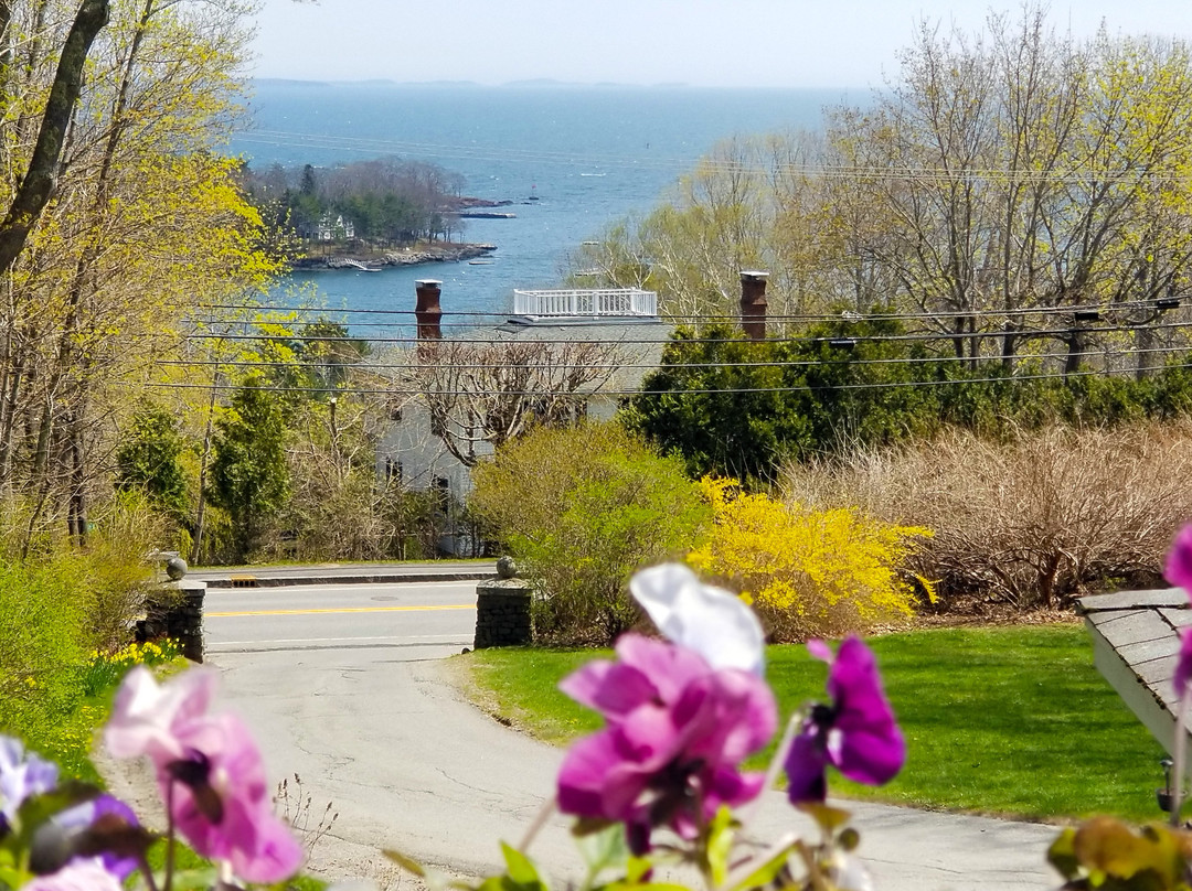 Timbercliffe Cottage Inn主图