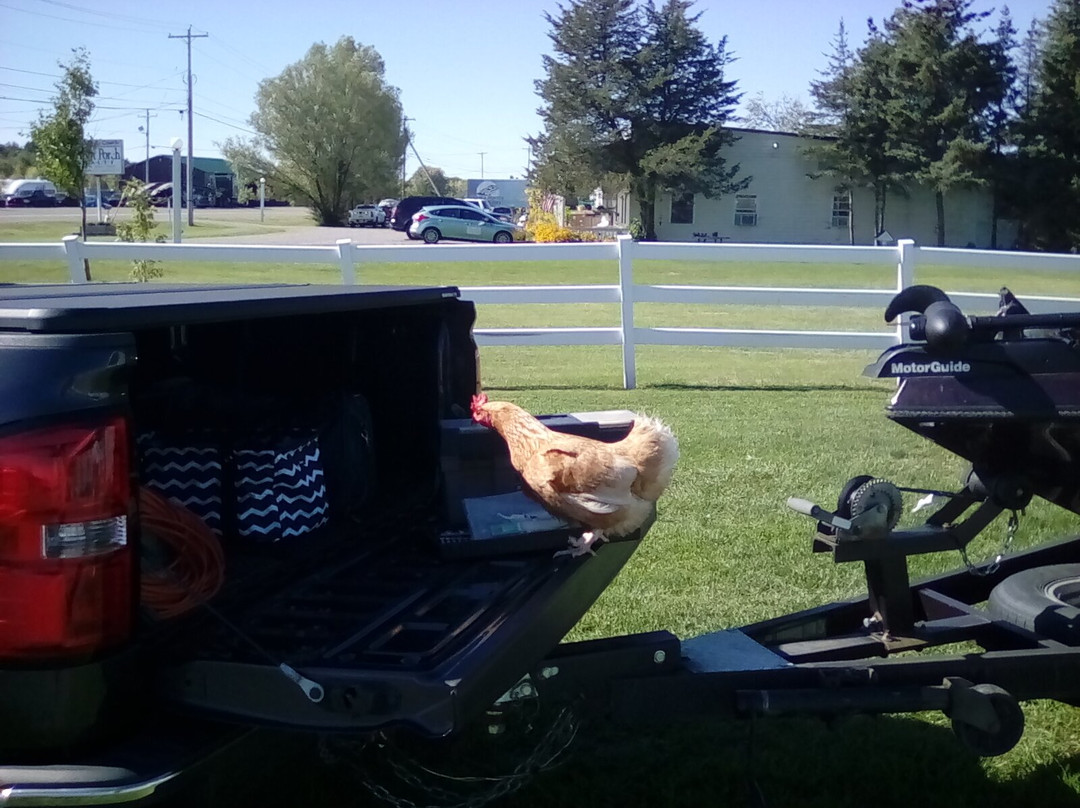 Bridgeview Motel主图