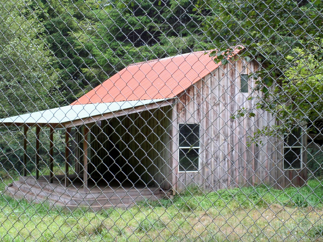 White Wolf Sanctuary & Educational Facility-Tidewater必去景点