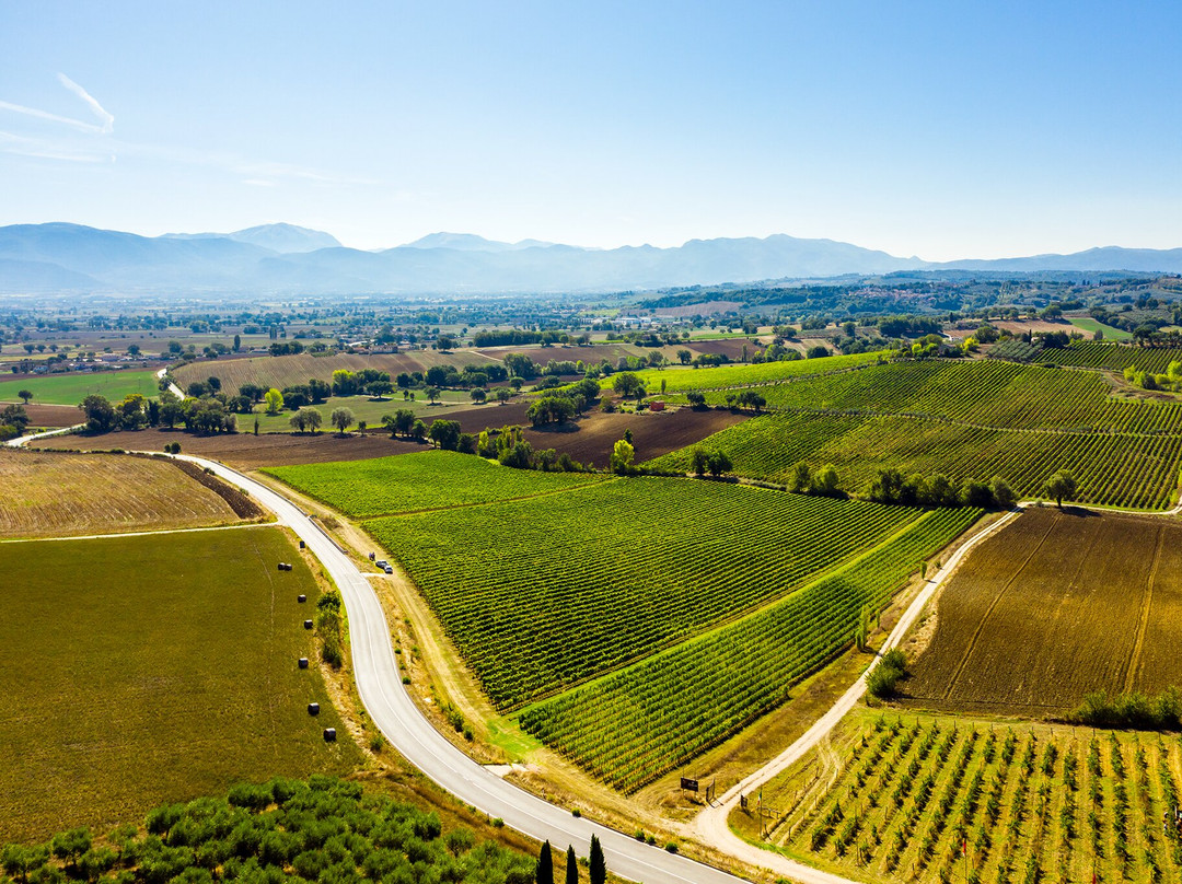 Tenuta Alzatura