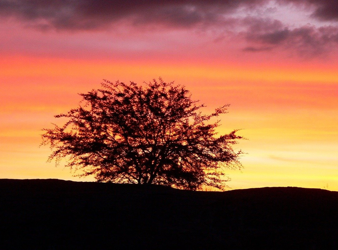 Amsha Popo Safaris-Msasani必去景点