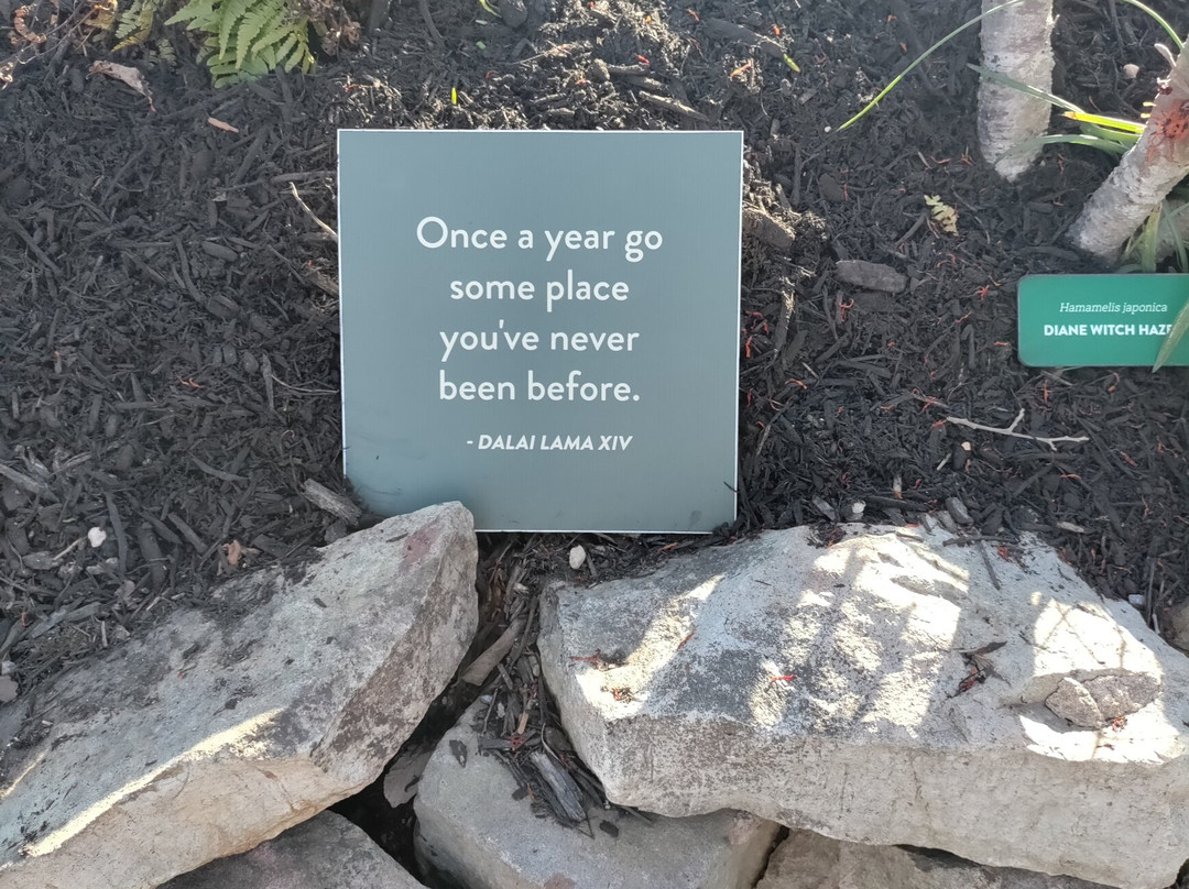 Anakeesta-盖林柏格必去景点