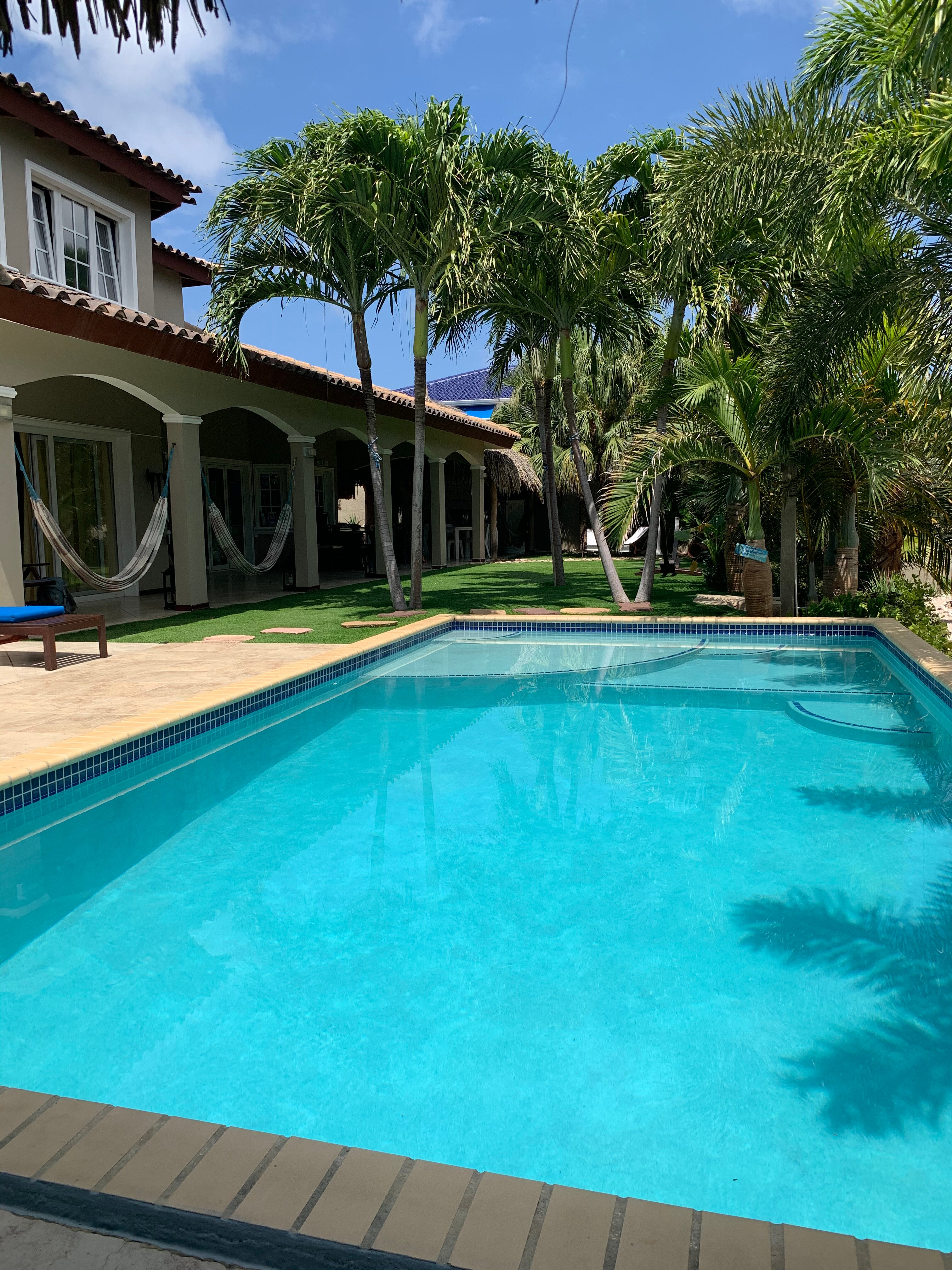 Hibiscus Beach House bed & breakfast-泳池