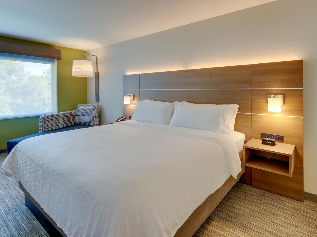 Holiday Inn Express & Suites Roanoke - Civic Center by IHG主图