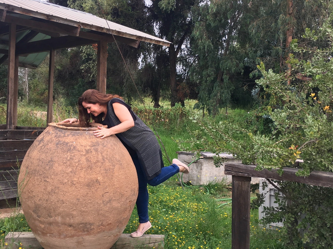 LA VIÑA DEL SEÑOR-Melipilla必去景点