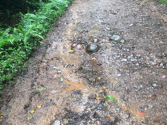 Cascata da Pedra Branca-Tres Forquilhas必去景点