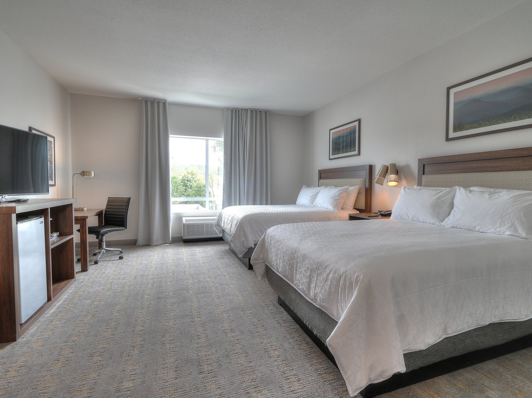 Holiday Inn & Suites Pigeon Forge Convention Center By IHG主图