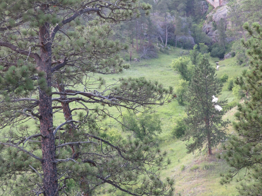 Beaver Creek Bridge-Wind Cave National Park必去景点