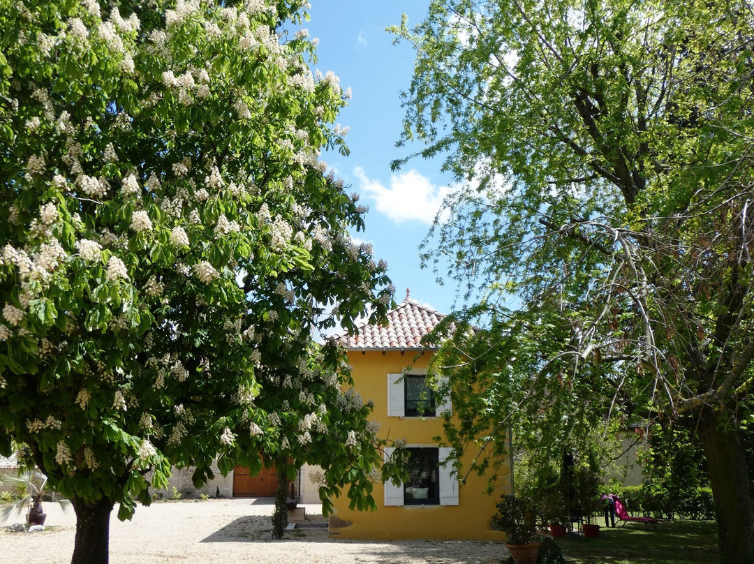 Le Clos De Quintaine主图