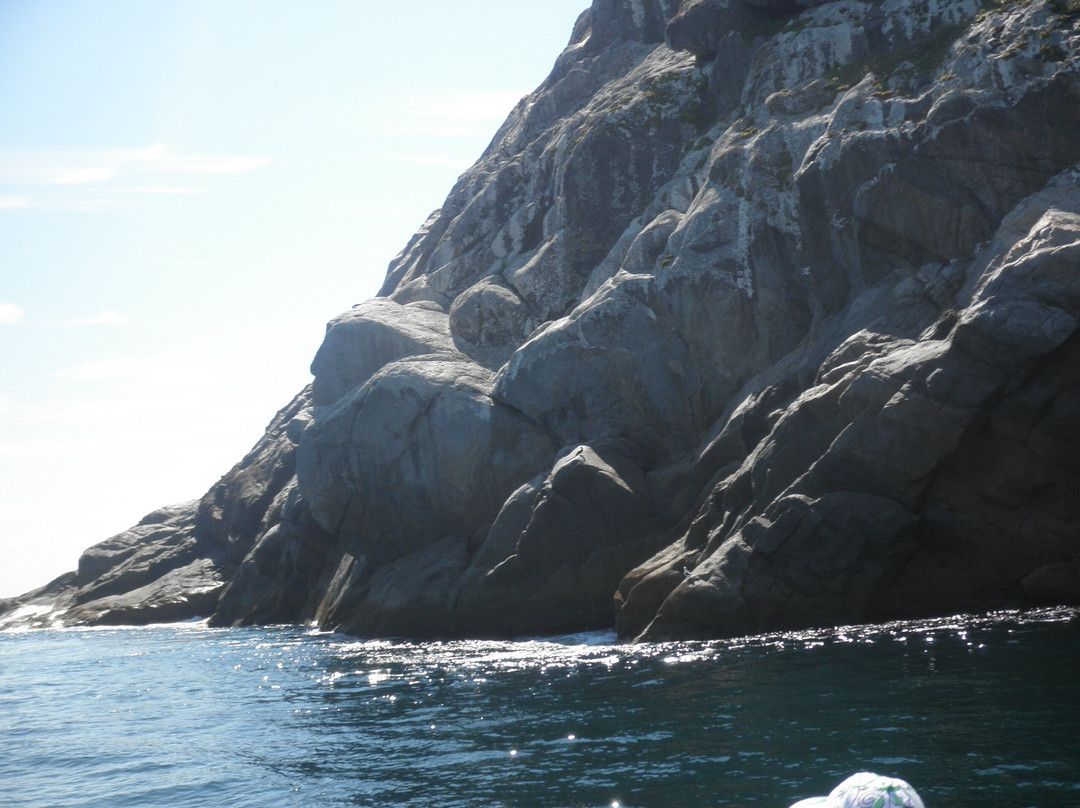 Pedra Perfil do Gorila-阿拉伊阿尔港必去景点