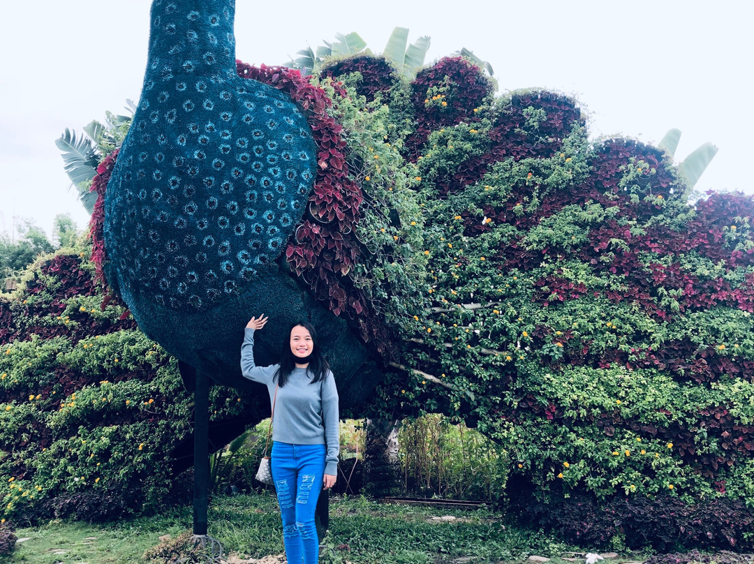 The Garden Ciudad de Victoria景点图片