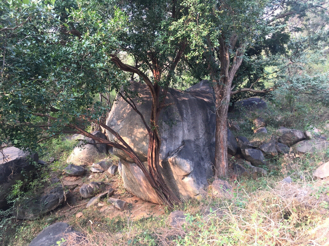 Vallimalai Hills景点图片