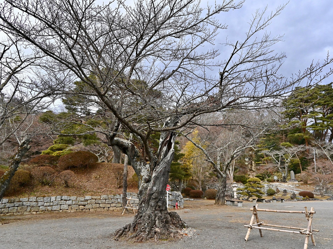 Kasumigajo Park景点图片