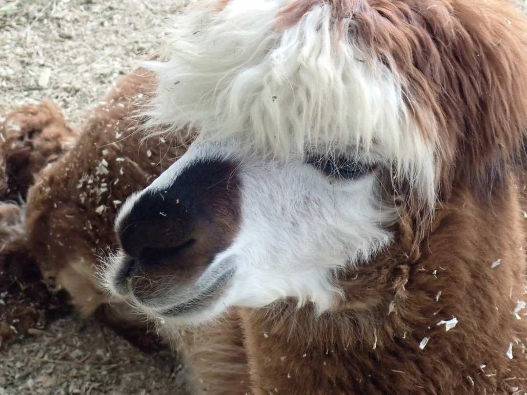 Hershberger's Farm & Bakery-Millersburg必去景点