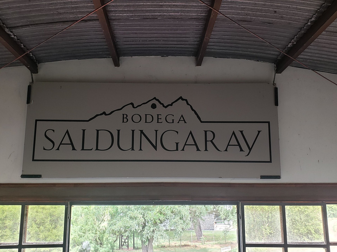 Bodega Saldungaray景点图片