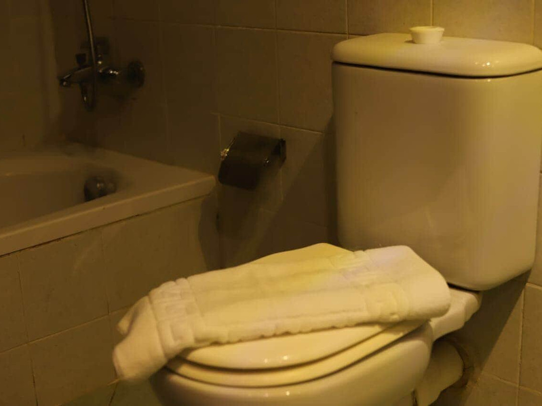 Horizon Elwadi Hotel主图