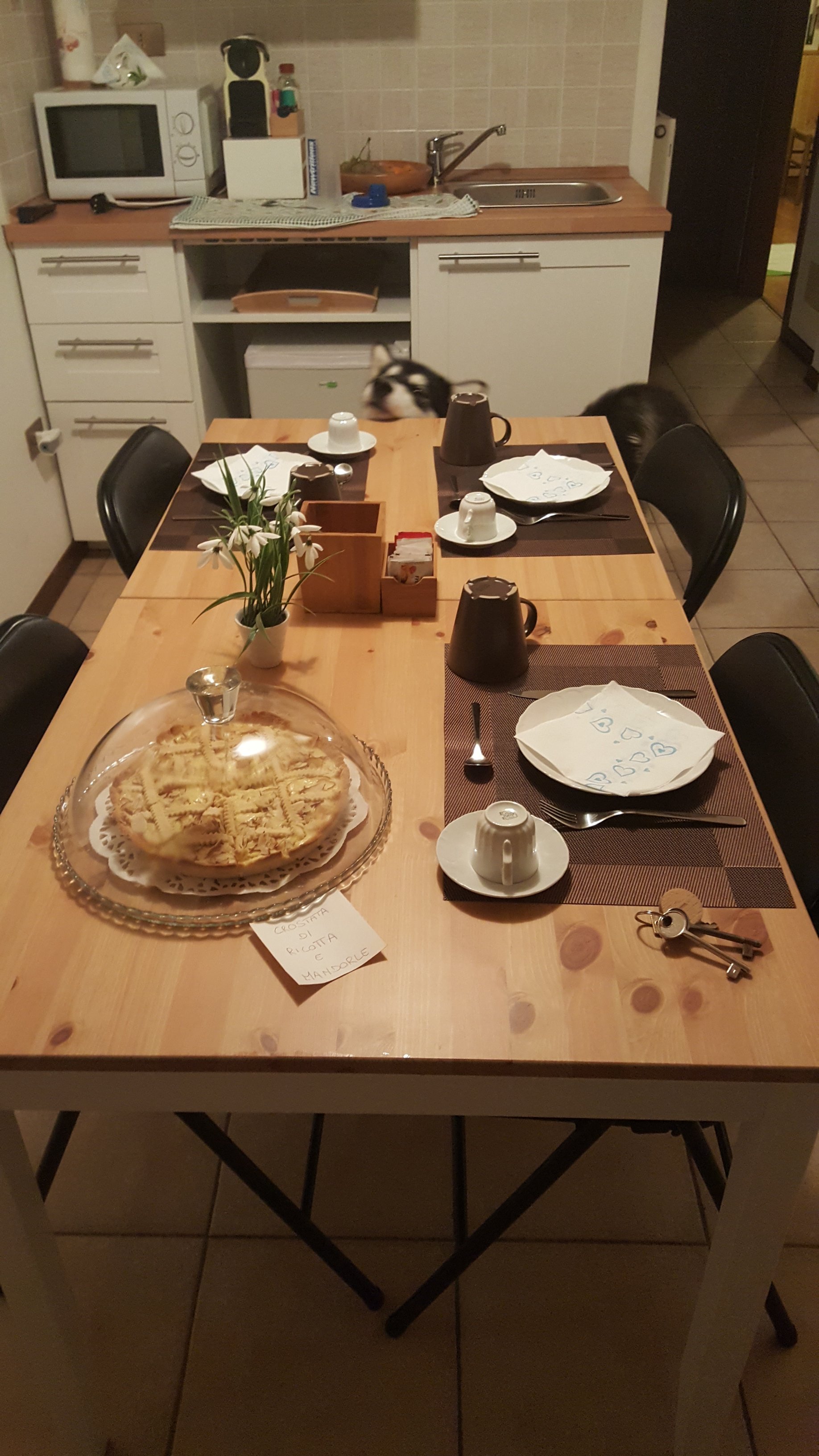 B&B Al Bucaneve - Asiago-官方