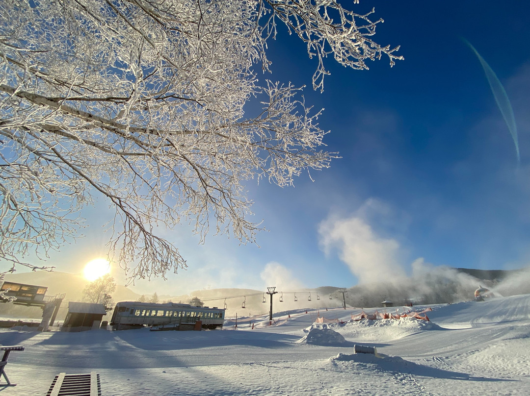 Blanche Takayama Ski Resort景点图片