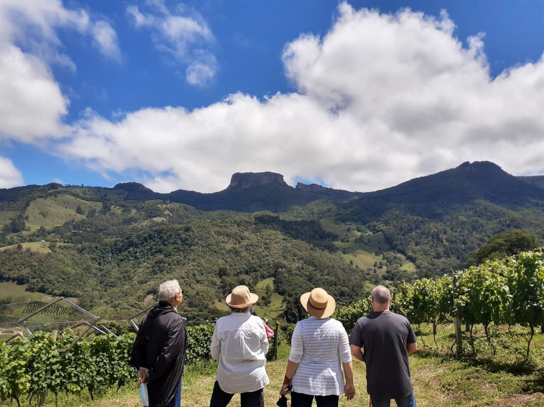 Vinicola e Fazenda Portal Da Luz