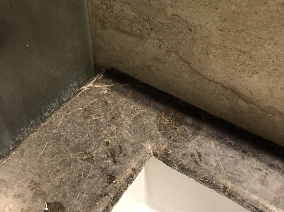 Millennium Inn主图