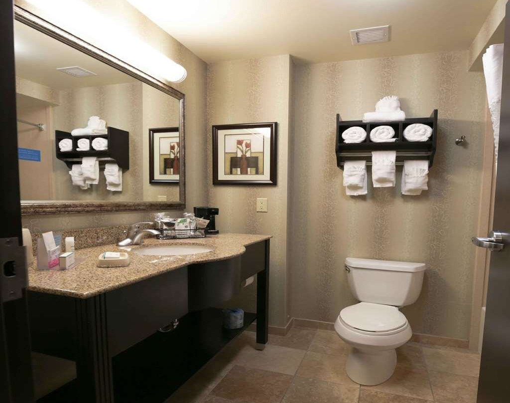 麦卡莱斯特希尔顿恒庭旅馆&套房酒店主图