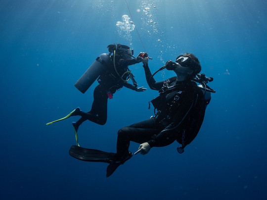 Fish R Friends-普吉镇必去景点